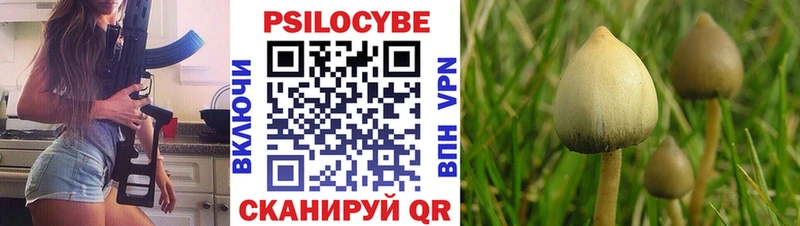 цены наркотик  Малоярославец  Галлюциногенные грибы мухоморы 