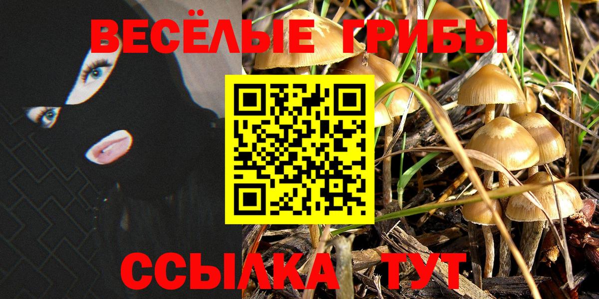 где купить   Псилоцибиновые грибы мицелий  Вход с VPN  Малоярославец 